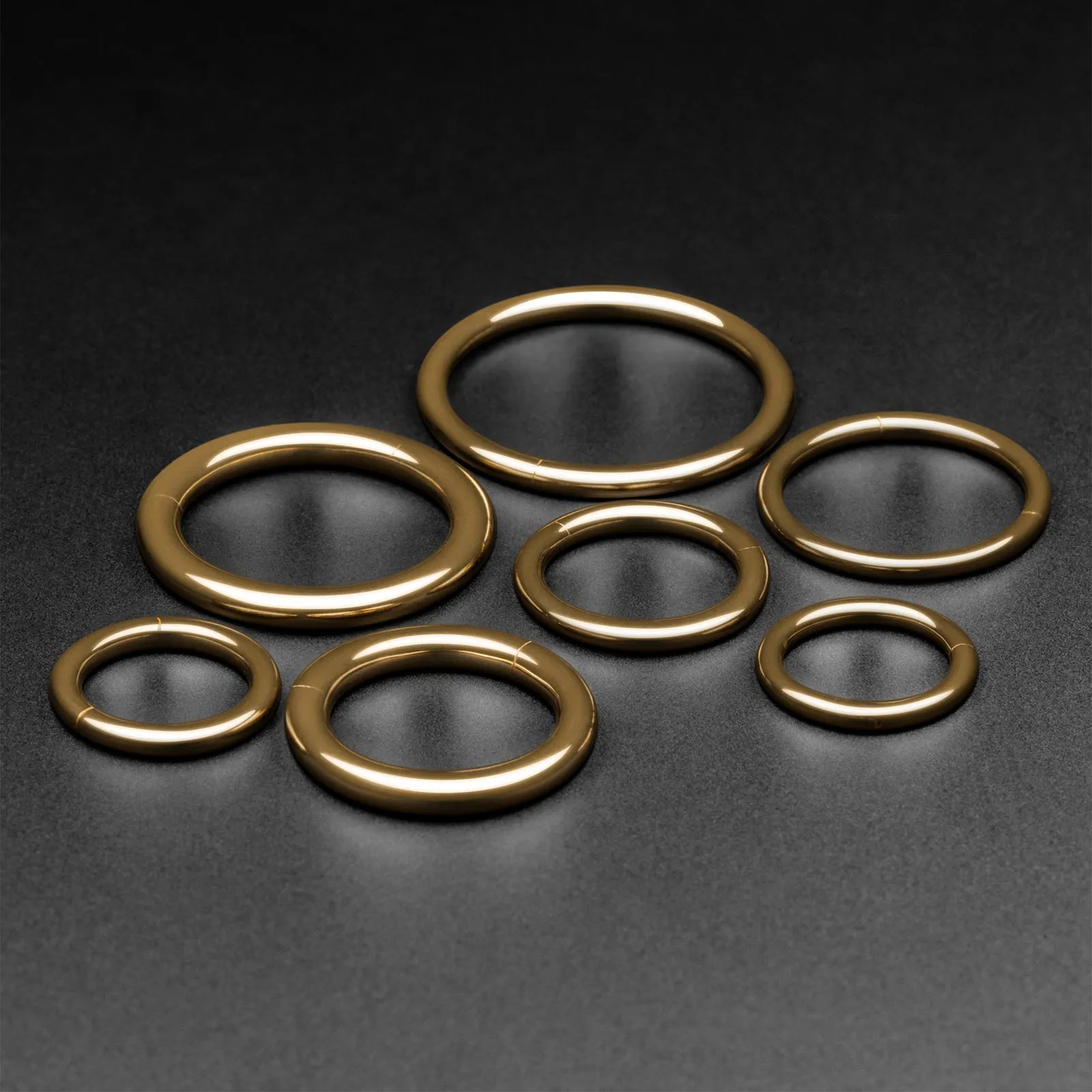 14k Gold Hinged Segment Ring