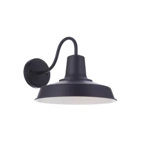 Briscoe 1 Light 15" Outdoor Wall Lantern in Midnight
