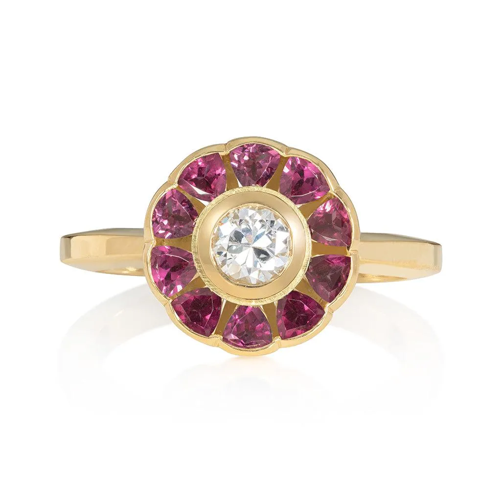 Dianthus Ruby Ring